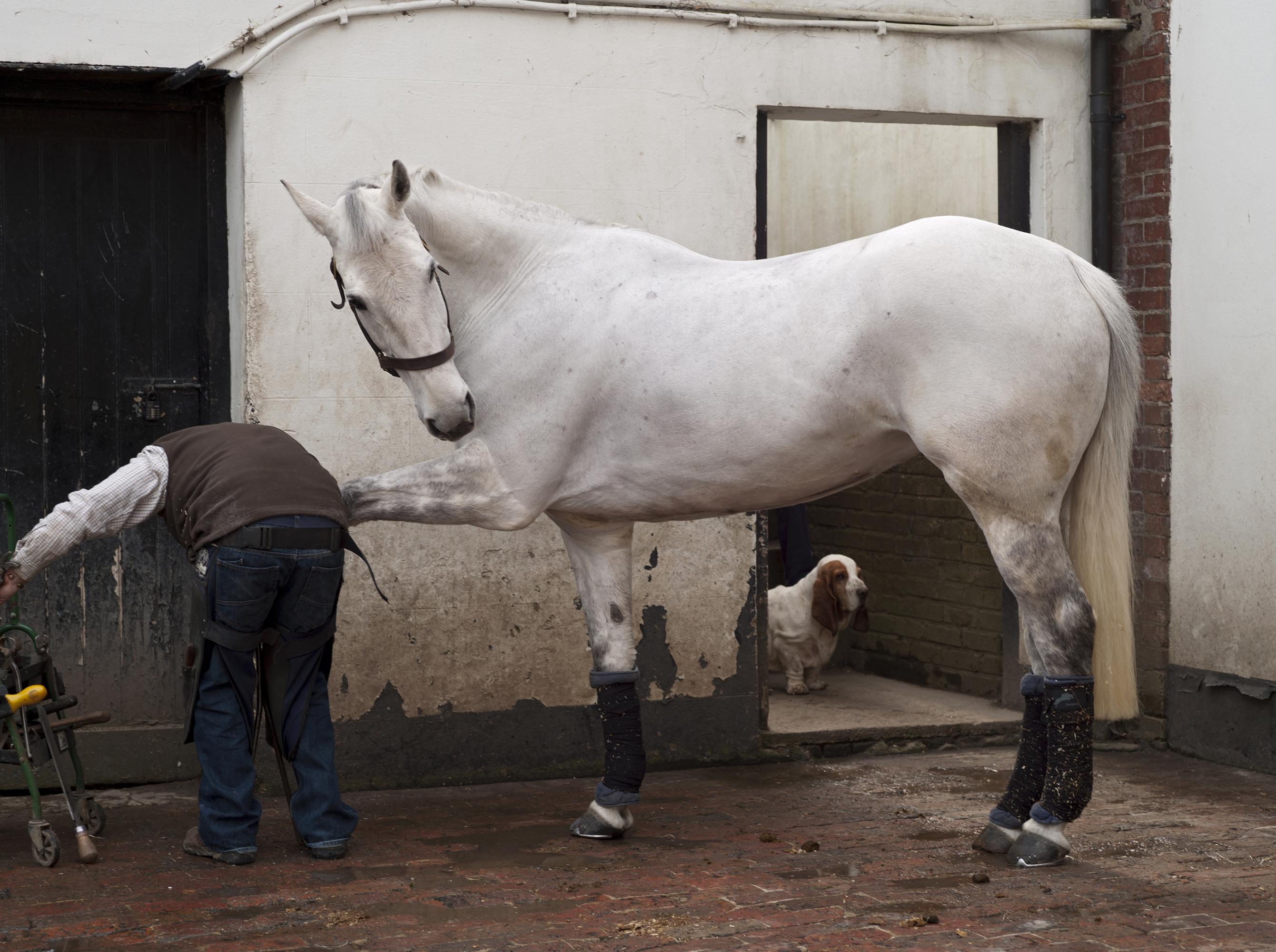 Gareth, Izzie and Boris